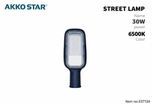 Reflektor rrugor LED 30W